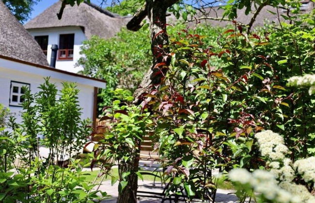 Reetgedecktes Ferienhaus in Nieblum auf Foehr - Foto 40