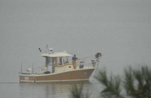 Apartmani Sidro - Foto 22