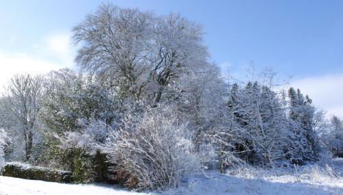 East Wing Lickleyhead Castle - Photo 2, Garden view