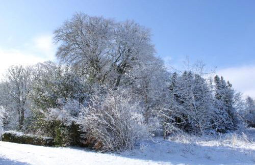 East Wing Lickleyhead Castle - Photo 2