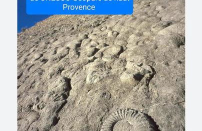 Le jardin de Nigelle , Bas De Villa En Provence - Foto 24