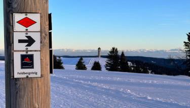 HAUS AM SEE - Natur Pur - Foto 3