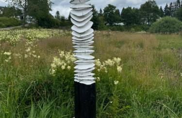 BergOase-Apart am Feldberg - Foto 66