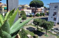 Suite Panorama - Photo 15