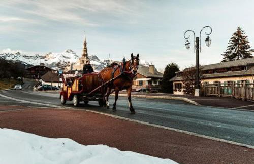 La marmotte: Vue Mont Blanc, terrasse, parking - Foto 35