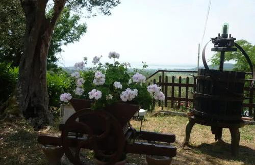 casaemilia2 - Foto 25