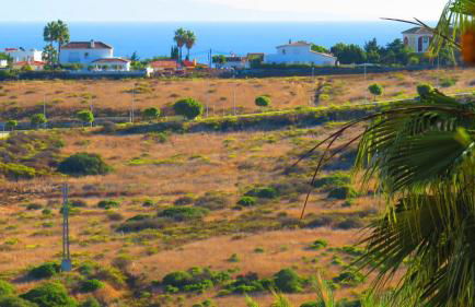 Casares Vacations - Foto 29