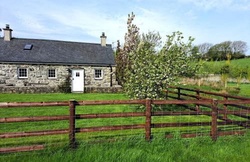 Tir Eironwy - Photo 17