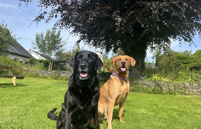 Manor House Farm - Foto 26