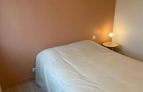 Appartement T3 classé 3 étoiles - Foto 6