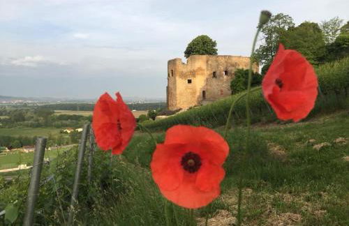 Apartment Rosalie Burgblick EuropaPark in ca 15min erreichbar - Foto 46
