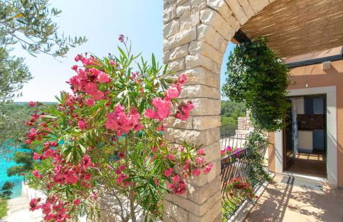 Vila Perla - Foto 22