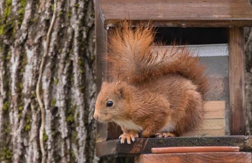 Agréable logement indépendant avec véranda - Foto 19