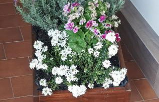 Casa Rosamari - su Lago di Posta Fibreno, Appartamento con camino - Foto 47