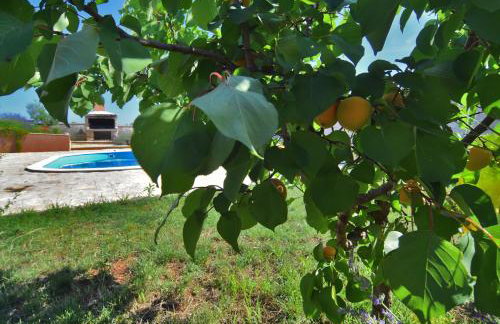 Kuća za odmor Diana - Foto 46