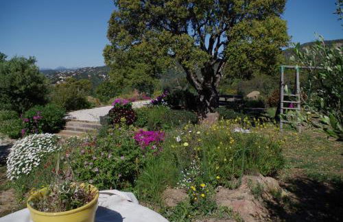 coustelline - Foto 20