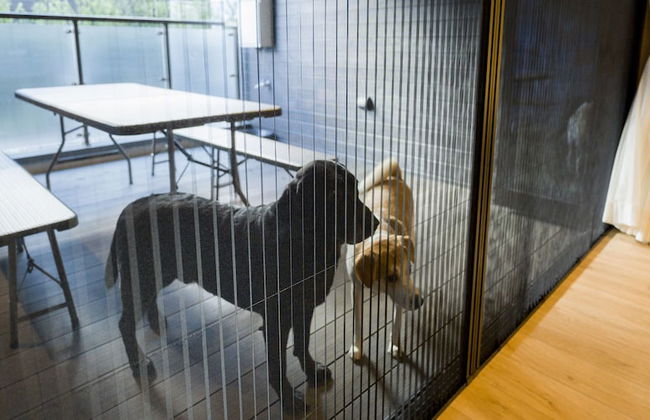 Rakuten STAY Nikko Hoden - Photo 32