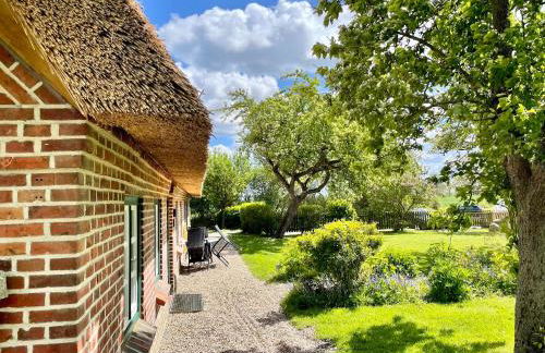 Ferienwohnung Kuhstall Hasselberg - Foto 25