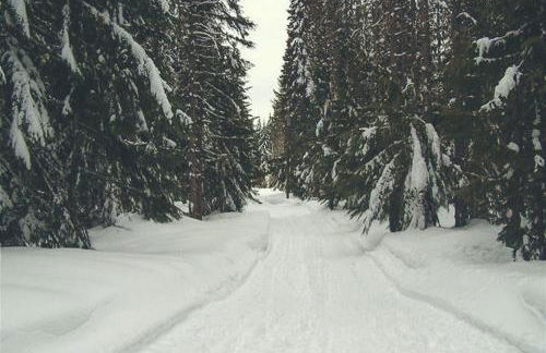 Marshall Cabin - Meredith Lodging - Foto 44