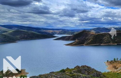 Anjú-Pardal - Foto 79