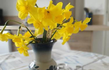 Chez Bob & Lulu - Foto 18