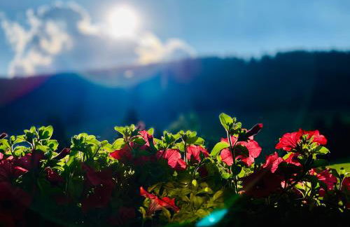 Ferienwohnung-direkt-am-Skihang mit Sauna - Foto 62