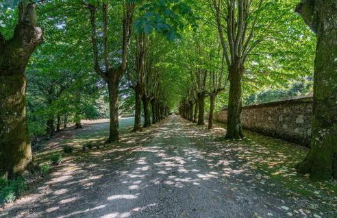 Villa Poggiolo - Foto 14