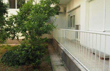 Little cherry - Photo 37