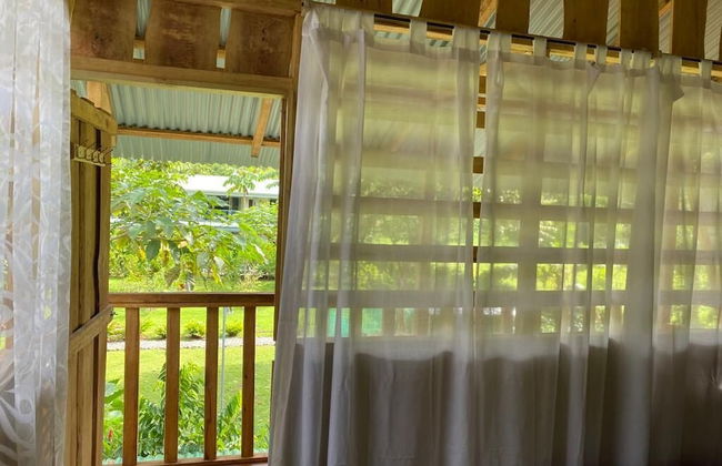 Morning Glory - Foto 9