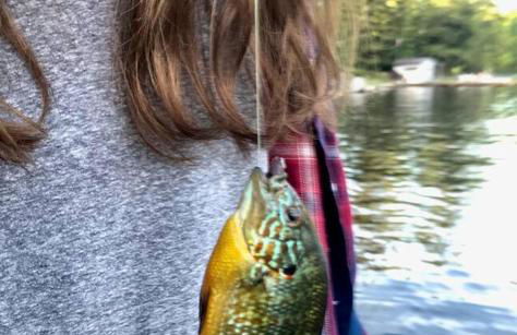 Guppies Lakehouse-Prvt. Lake Acc, Close to Rainier - Foto 16