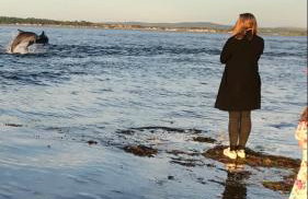 The Sheriffs Lodge - Photo 65