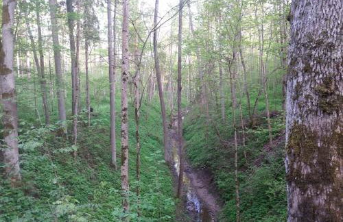 Wiejska Chata - Foto 58