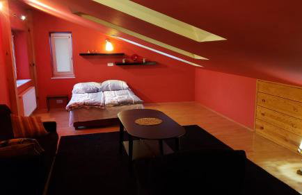 Willa w Kórniku - blisko Poznania - Foto 38