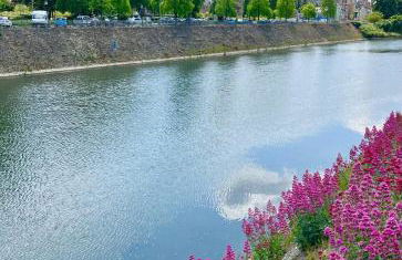 L'Hélios - T1 Bis - Bord de Sarthe - Foto 7