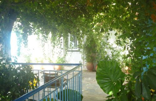 Apartments Jota - Foto 19