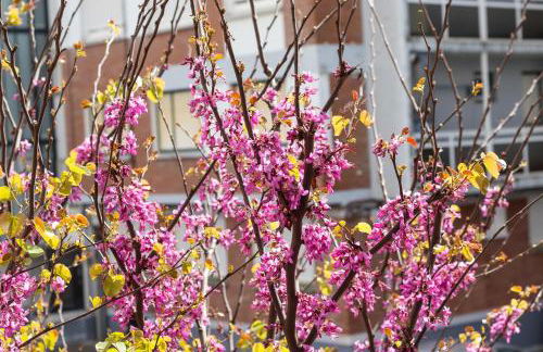 Confortable apartamento en Lekeitio - Foto 6