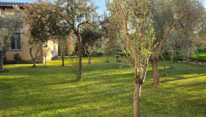 Case vacanza "Gli Ulivi" - Photo 5, Garden view