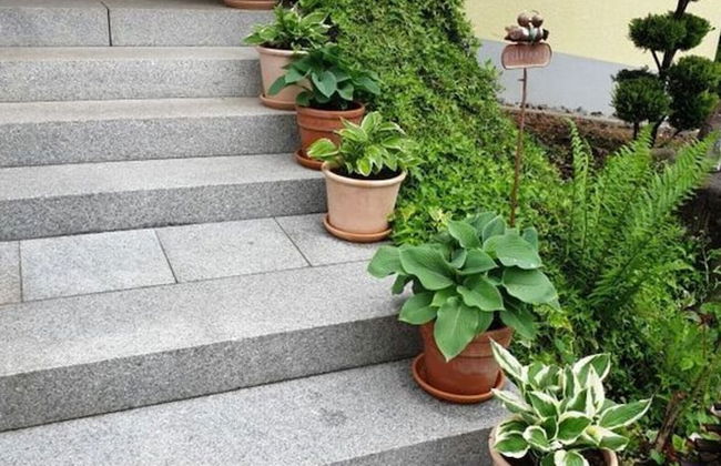 Holiday Apartment in the Rose Garden - Foto 22