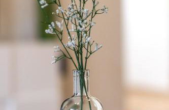 Apartman Zgodić - Foto 19