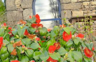 Gites de la Haie - Foto 35