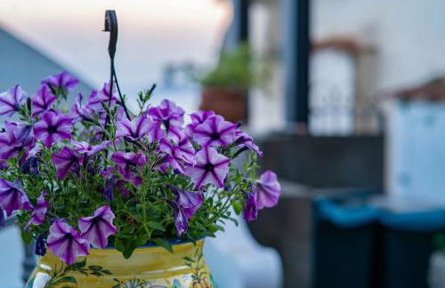 La Sovrana - Foto 71