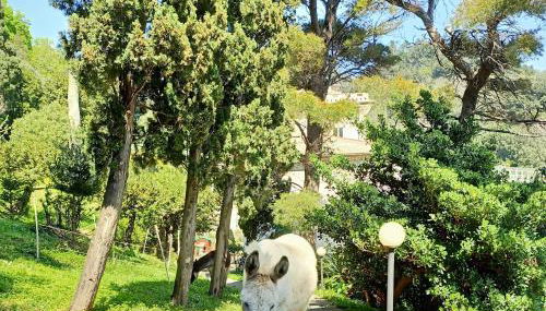 Holiday stay by Federica - Foto 4