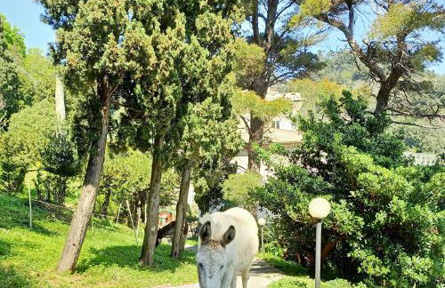 Holiday stay by Federica - Foto 4