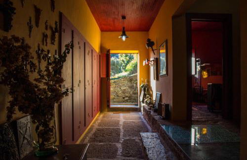 Cardenha do Douro - Photo 43