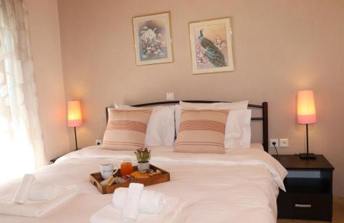 Villa Despina-Aloro-Loutra Pozar - Photo 27