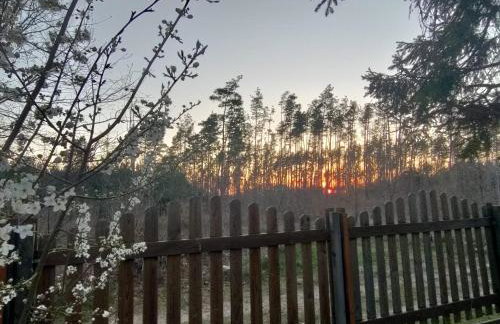 Widny Jaś zaprasza z psem nad jezioro na Kaszubach - Foto 14