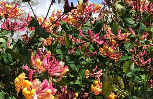 Lynwood House Self Contained Studio - Photo 7