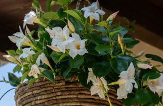 Casa Il Nocciolo - Foto 10