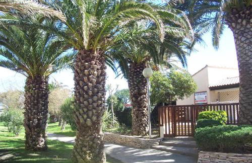 Saint Cyprien - Appart - Piscine-Mer - Photo 13