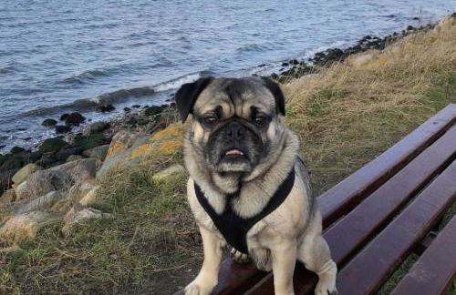 Kleine Ferienwohnung - Foto 20